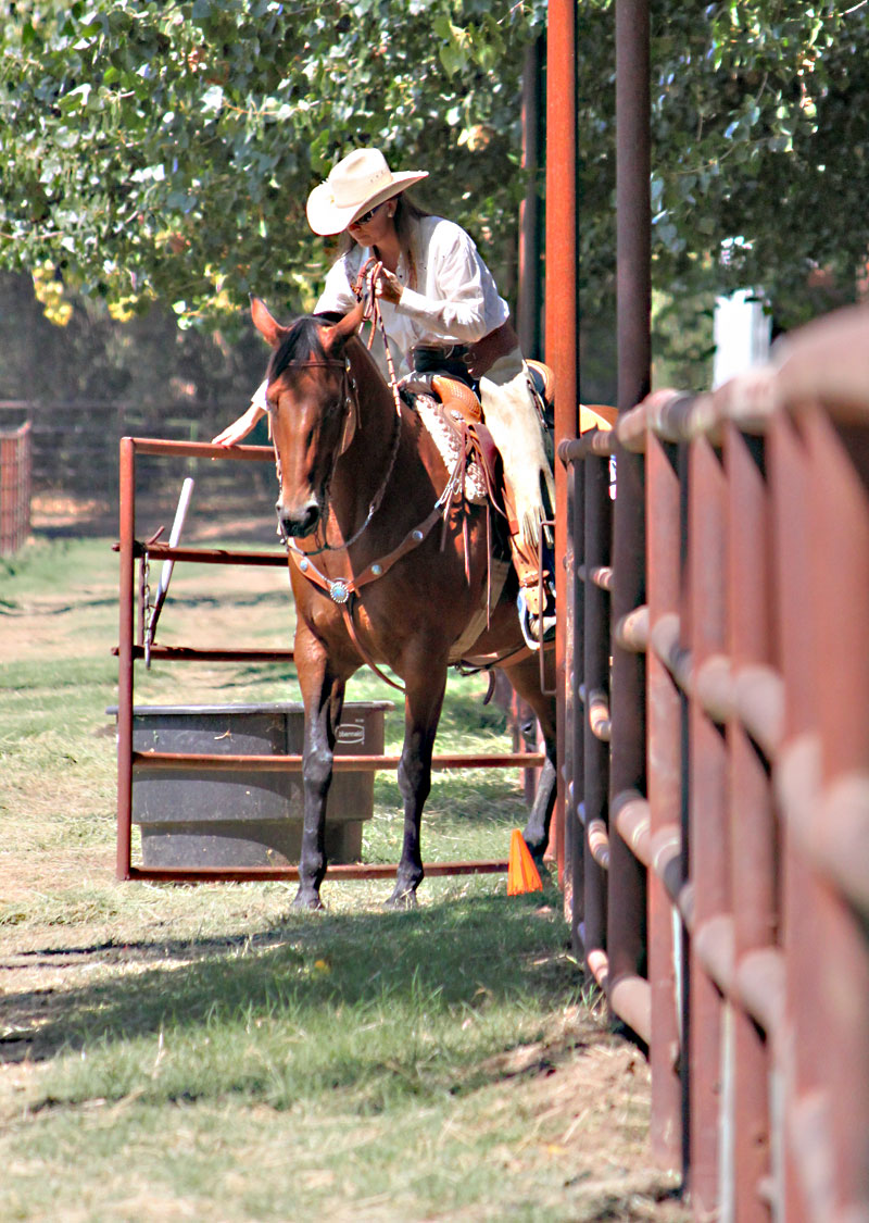 opening and closing a gate