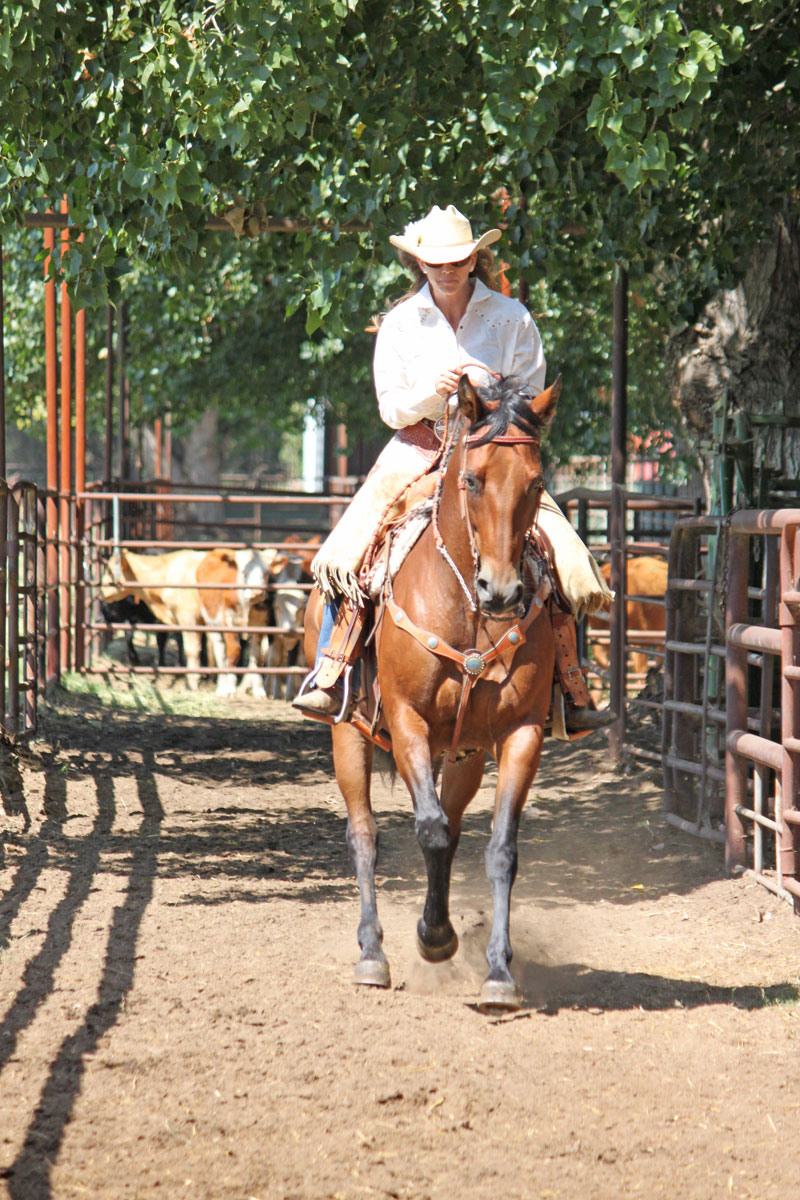 horse loping in the alley