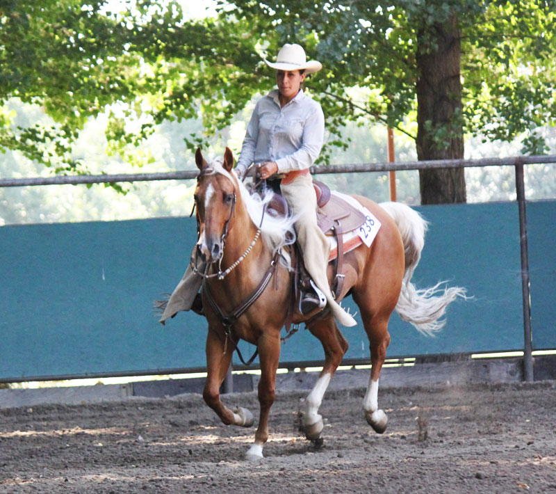 horse loping