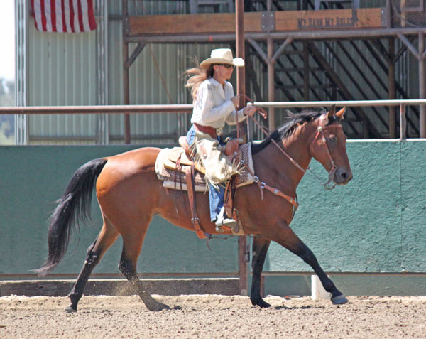 galloping horse