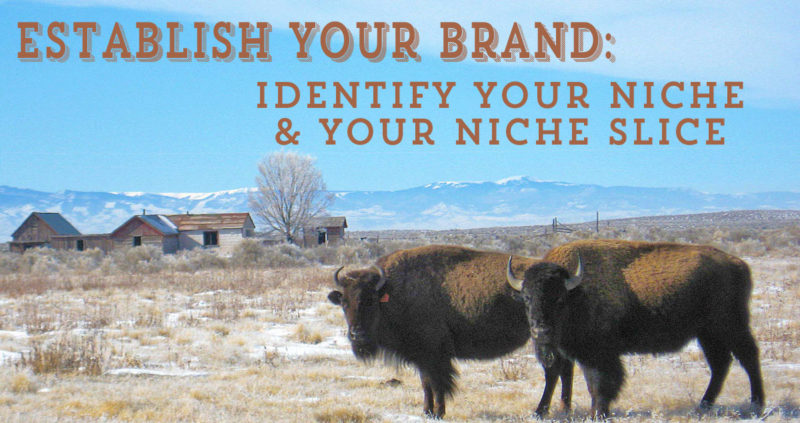 Identify Your Niche