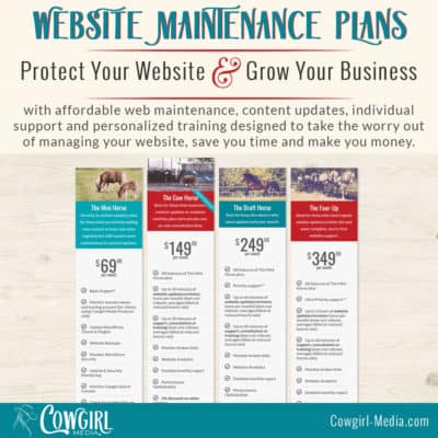 website maintenance plans