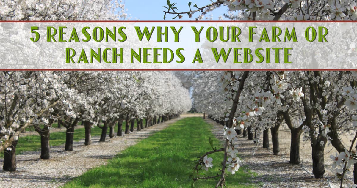 5 Reasons Why Your Farm or Ranch Needs a Website