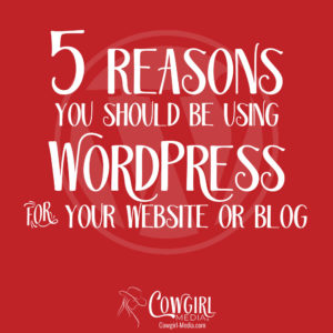 5 reasons to use wordpress