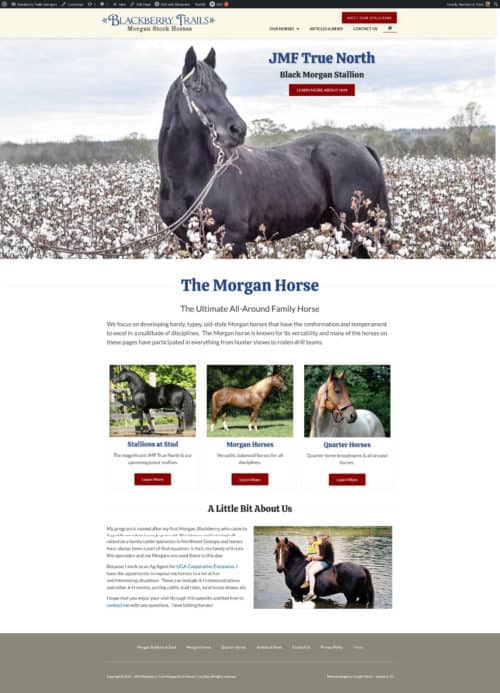 Blackberry Trails Morgan Horses screenshot