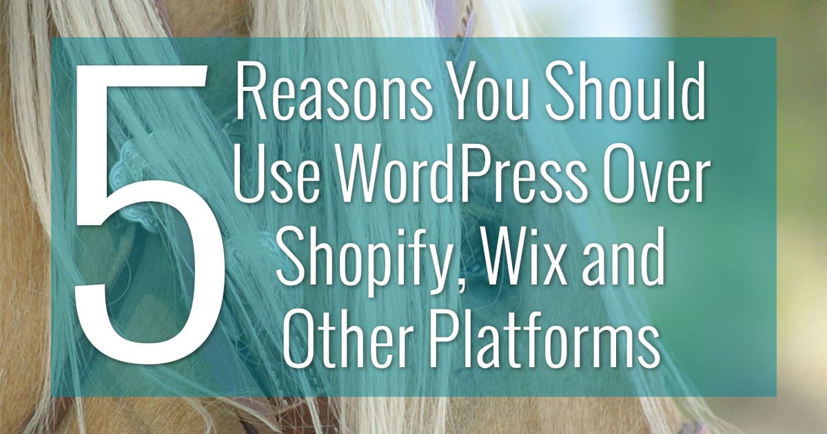 5 reasons you should use WordPress over Shopify, Wix and other platforms