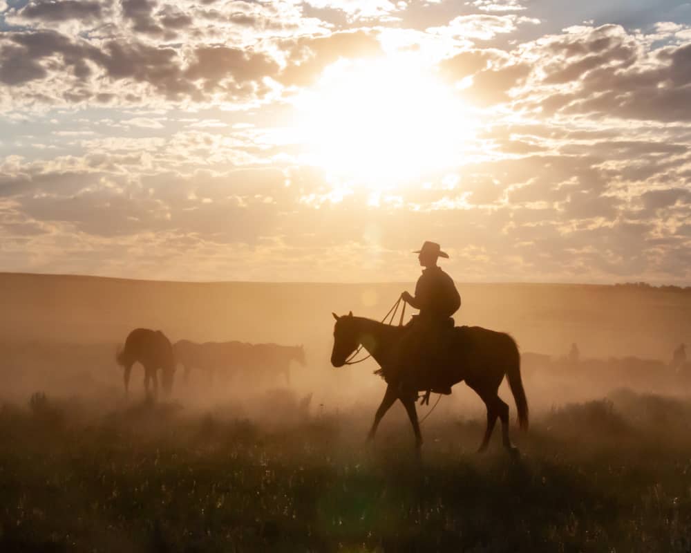 cowboy during sunrise