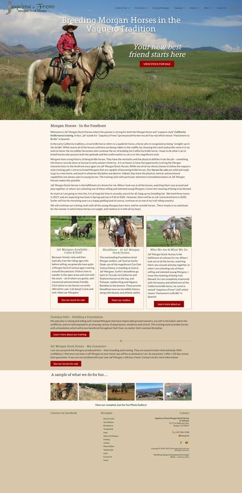 Jaquima a Freno Morgan Stock Horses website screenshot