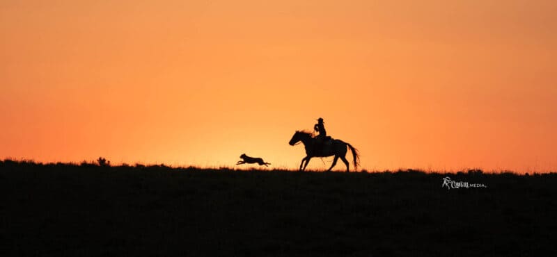 Rider and dog silhouetted against an orange early morning sky.