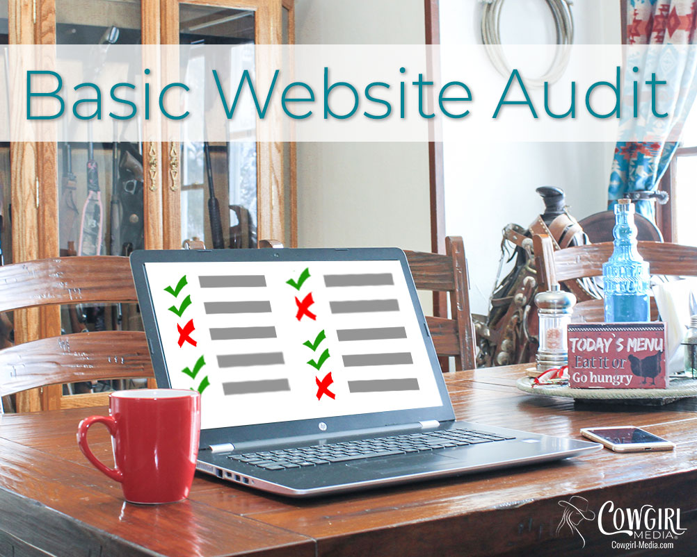 Basic website audit
