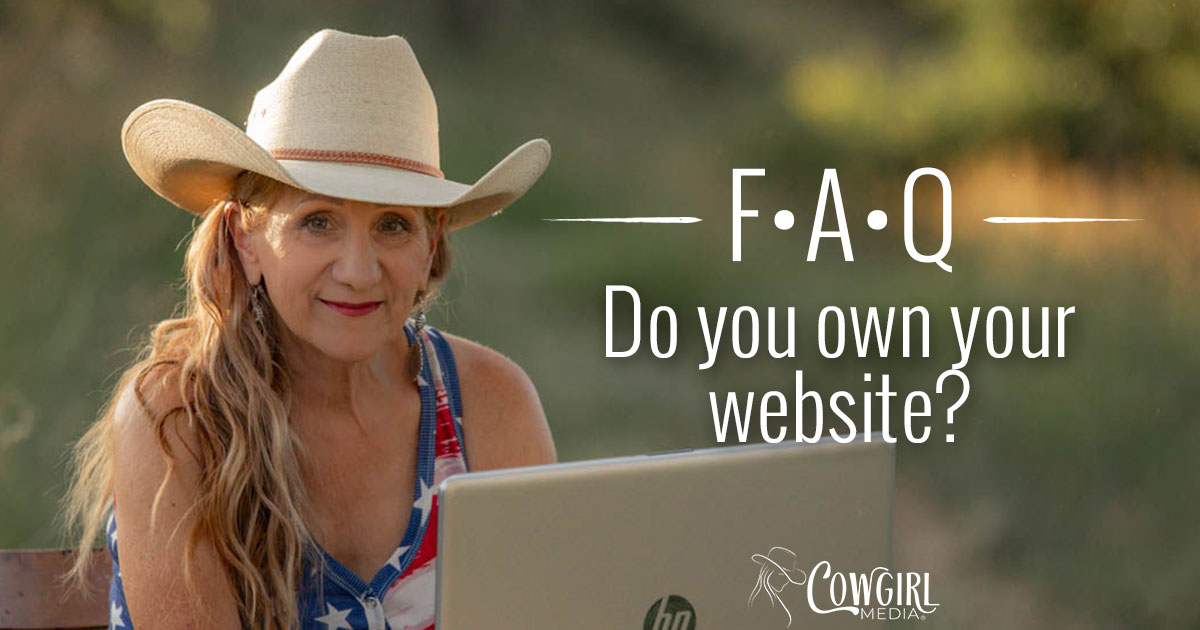 Do you own your website?