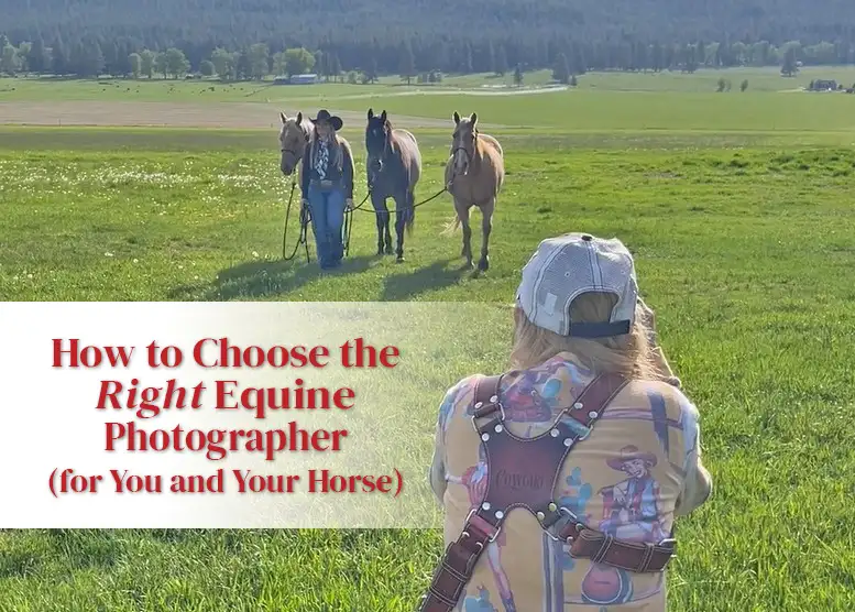 photographer taking photos of a cowgirl and her horses in a field
