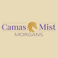 Camas Mist Morgans