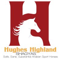 Hughes Highland Shagyas