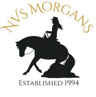 NVS Morgans