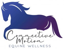 cm-primary-logo-full-color-rgb-1000px-w-72ppi