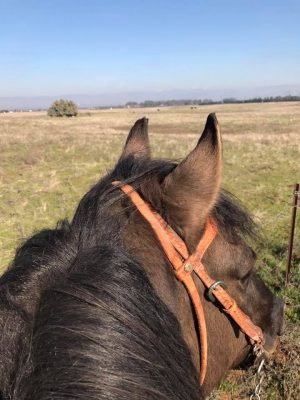 last ride
